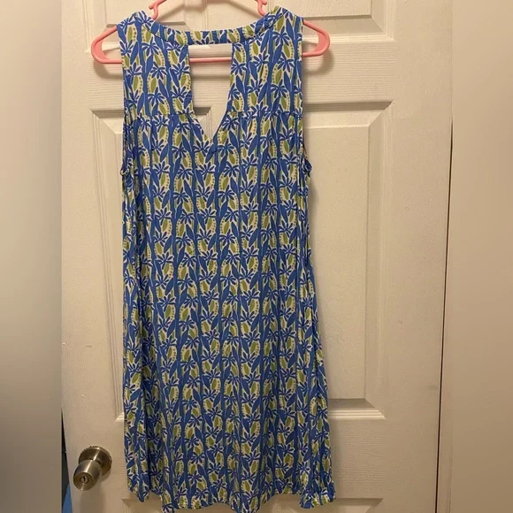 Blue Ginger Dresses | Blue Ginger Dress Size M | Color: Blue | Size: M | Mampandausa's Closet